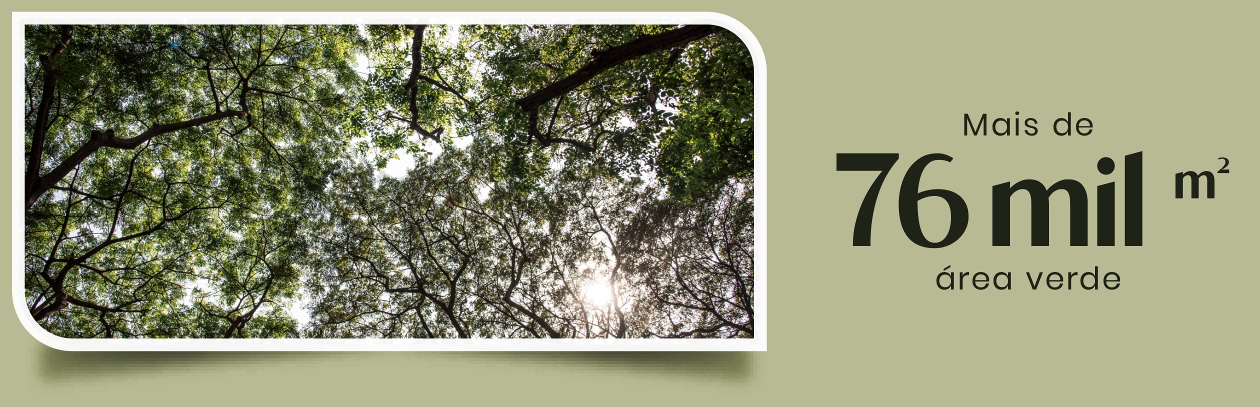 Mais de 76 mil m² de área verde